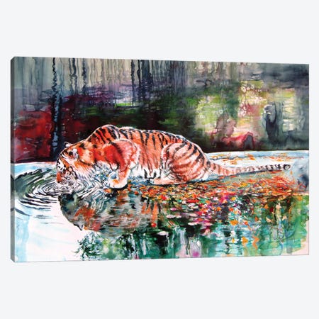 Drinking Tiger Canvas Print #AKV343} by Anna Brigitta Kovacs Canvas Art Print