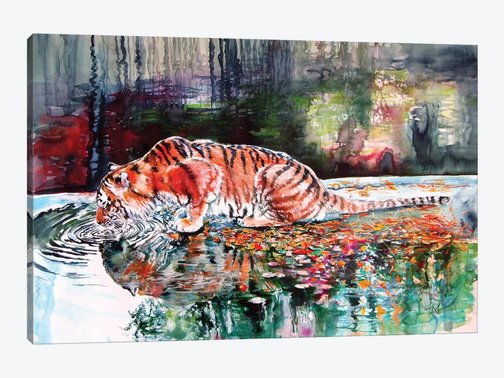Drinking Tiger by Anna Brigitta Kovacs 1-piece Canvas Art Print