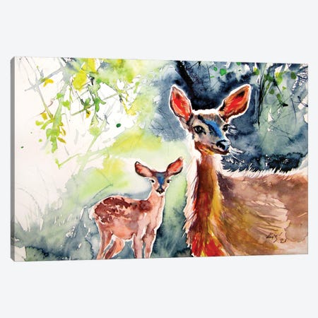 Deer In The Sun II Canvas Print #AKV345} by Anna Brigitta Kovacs Canvas Art