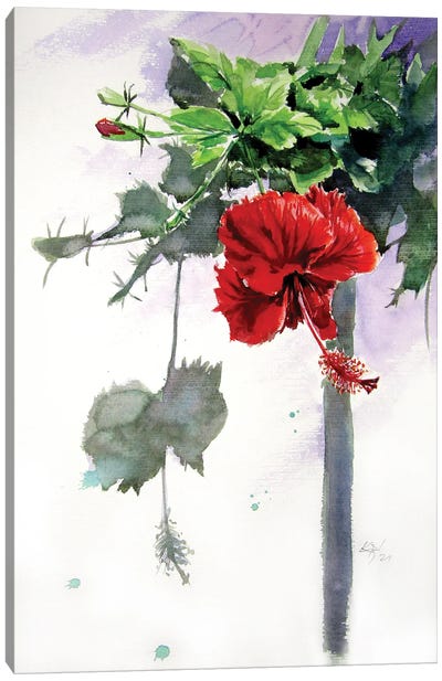 Hibiscus Canvas Art Print - Anna Brigitta Kovacs