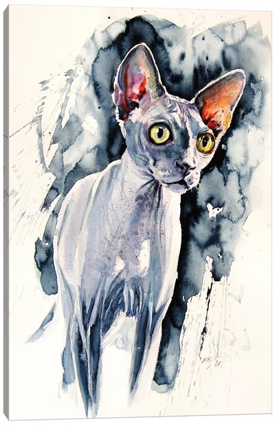 Sphynx Cat Canvas Art Print - Hairless Cat Art