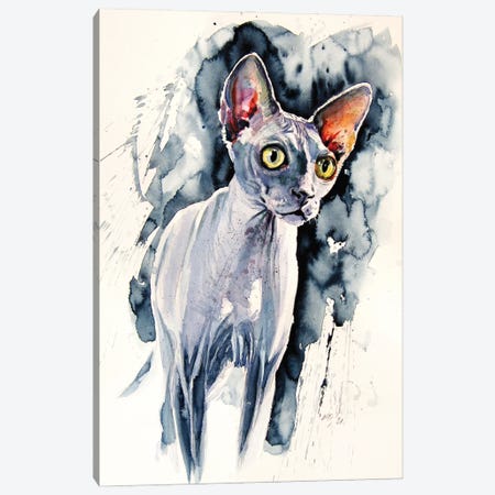Sphynx Cat Canvas Print #AKV348} by Anna Brigitta Kovacs Canvas Art Print