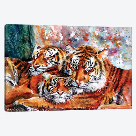 Resting Tigers Canvas Print #AKV354} by Anna Brigitta Kovacs Art Print