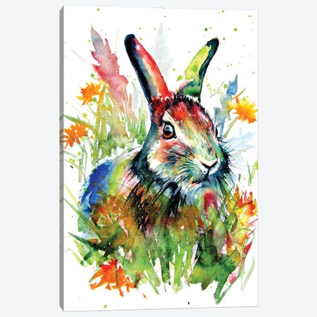 Rabbit In The Grass Canvas Print #AKV358} by Anna Brigitta Kovacs Canvas Wall Art