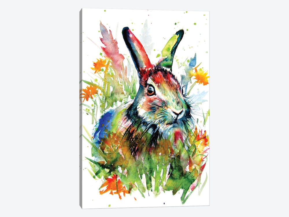 Rabbit In The Grass by Anna Brigitta Kovacs 1-piece Canvas Art Print