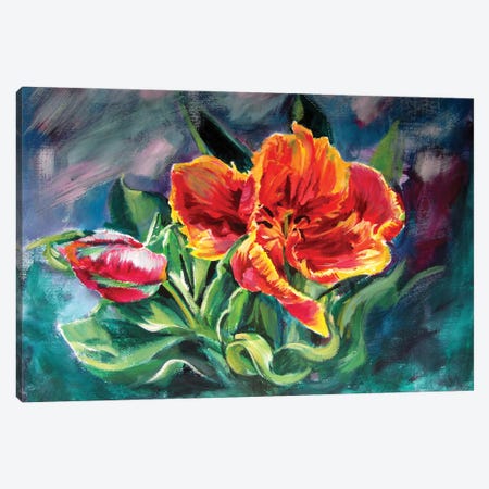 Tulip Canvas Print #AKV368} by Anna Brigitta Kovacs Art Print