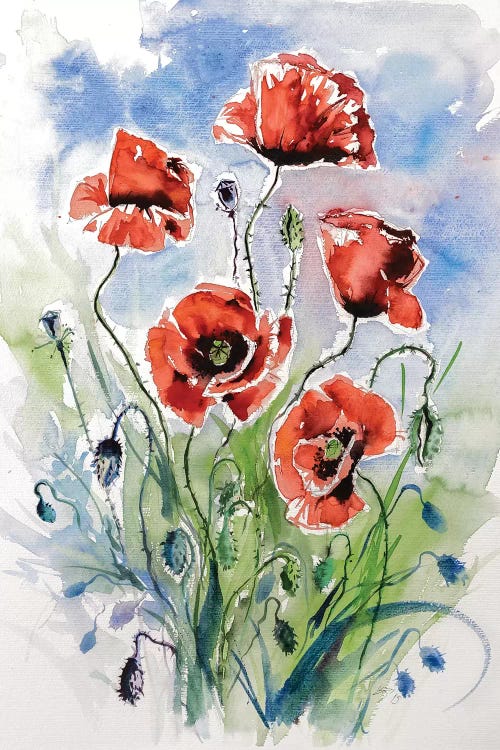 Five Poppies