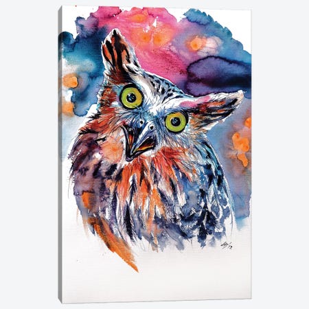 Funny Cute Owl Canvas Print #AKV37} by Anna Brigitta Kovacs Canvas Wall Art