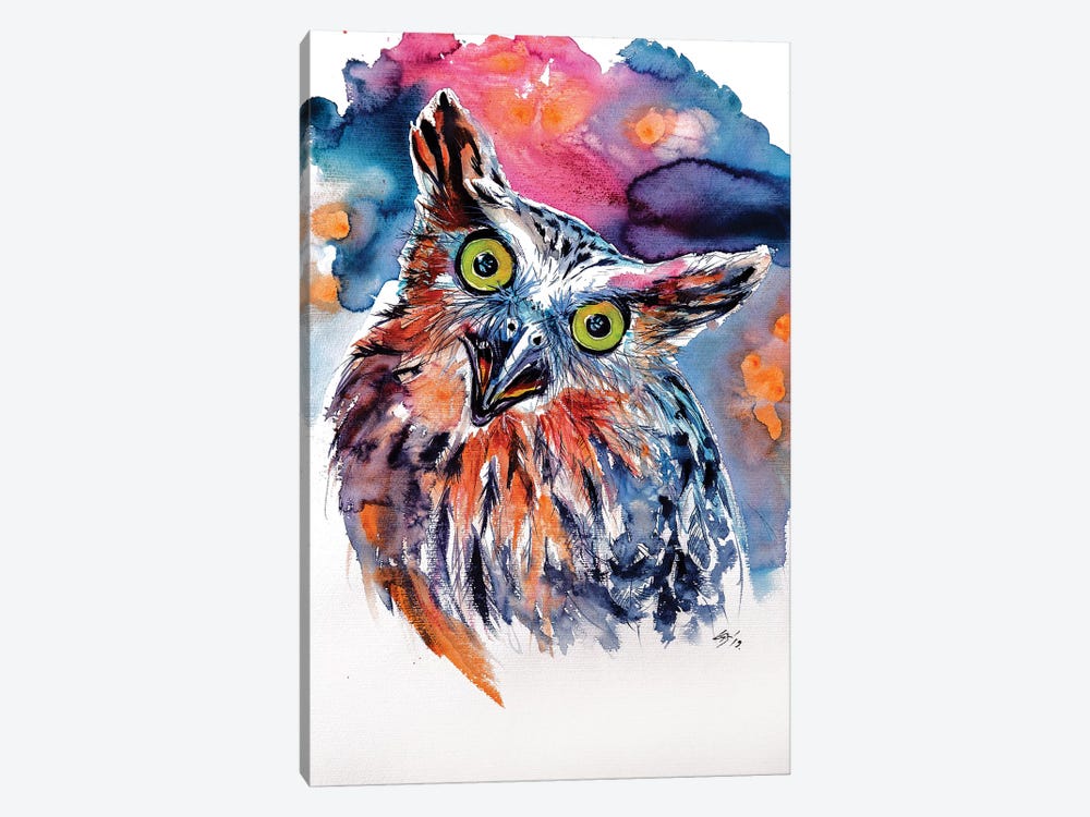 Funny Cute Owl by Anna Brigitta Kovacs 1-piece Canvas Art