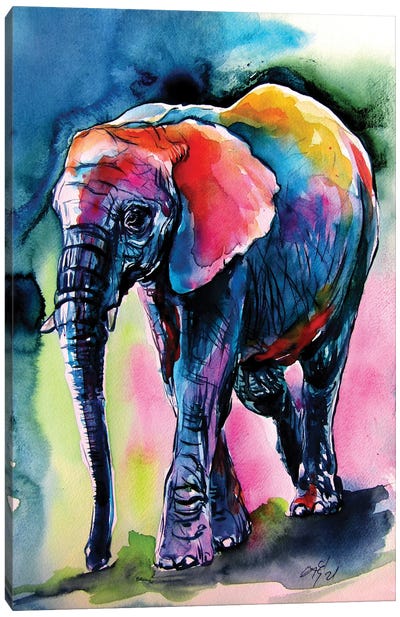 Elephant At Night Canvas Art Print - Anna Brigitta Kovacs