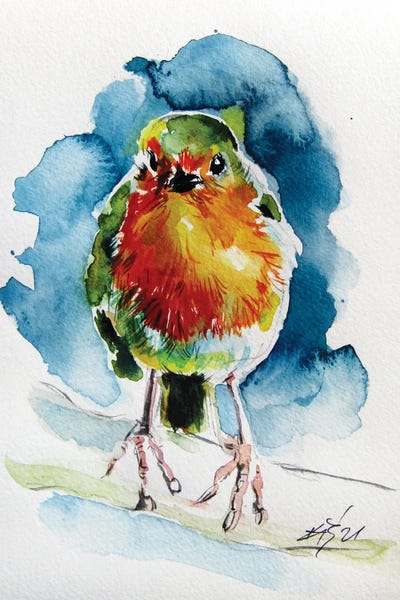 Anna Brigitta Kovacs: Nice Robin by Anna Brigitta Kovacs