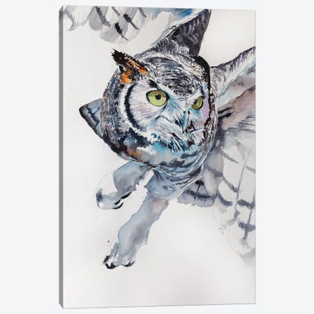 Great Horned Owl Canvas Print #AKV40} by Anna Brigitta Kovacs Canvas Artwork