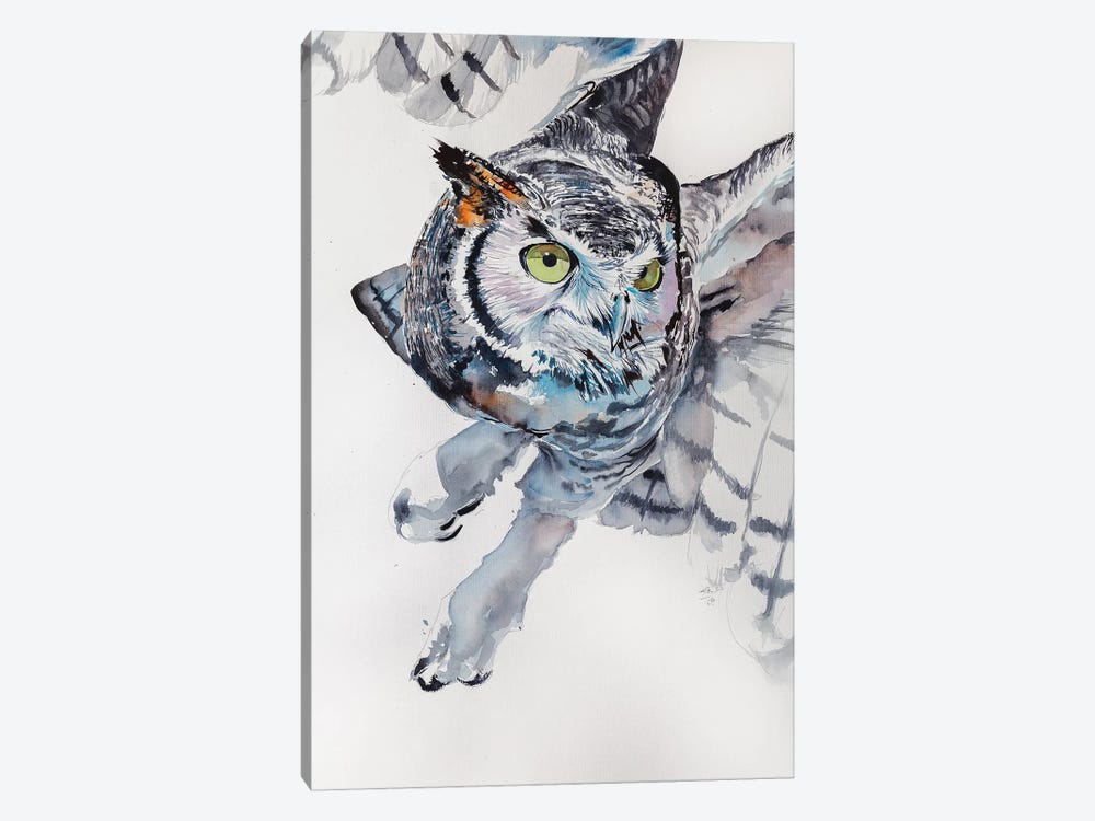 Great Horned Owl by Anna Brigitta Kovacs 1-piece Canvas Wall Art