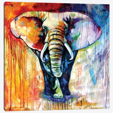 Majestic Colorful Elephant Canvas Print #AKV412} by Anna Brigitta Kovacs Art Print