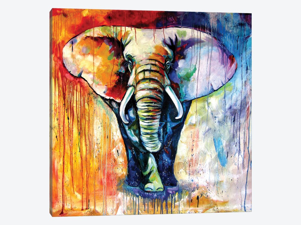 Majestic Colorful Elephant by Anna Brigitta Kovacs 1-piece Canvas Wall Art
