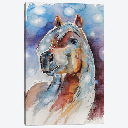 Horse Canvas Print #AKV41} by Anna Brigitta Kovacs Canvas Wall Art