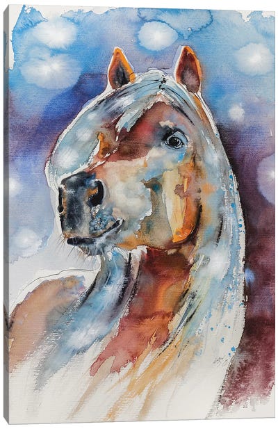 Horse Canvas Art Print - Anna Brigitta Kovacs