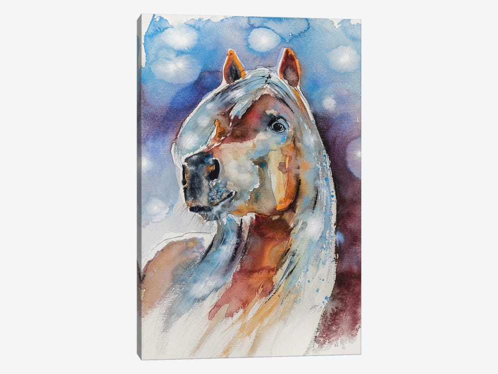 Horse by Anna Brigitta Kovacs 1-piece Canvas Art Print