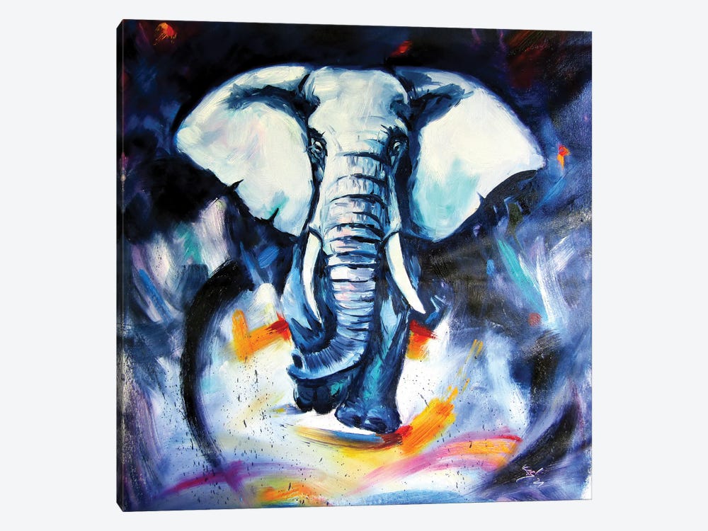 Elephant At Night II by Anna Brigitta Kovacs 1-piece Canvas Print