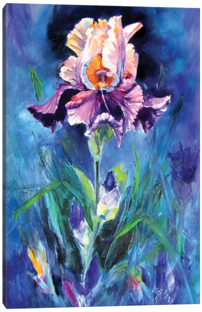 Purple Lily II Canvas Art Print - Anna Brigitta Kovacs