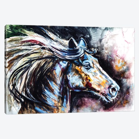 Horse Portrait II Canvas Print #AKV42} by Anna Brigitta Kovacs Canvas Wall Art