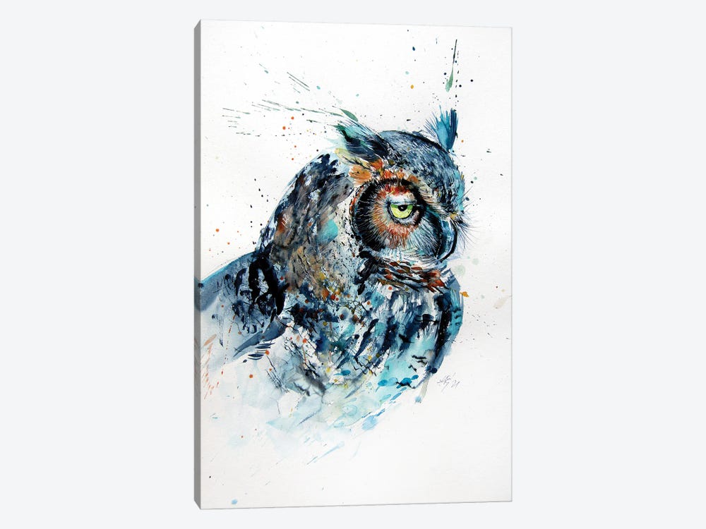 Great Horned Owl II by Anna Brigitta Kovacs 1-piece Canvas Wall Art