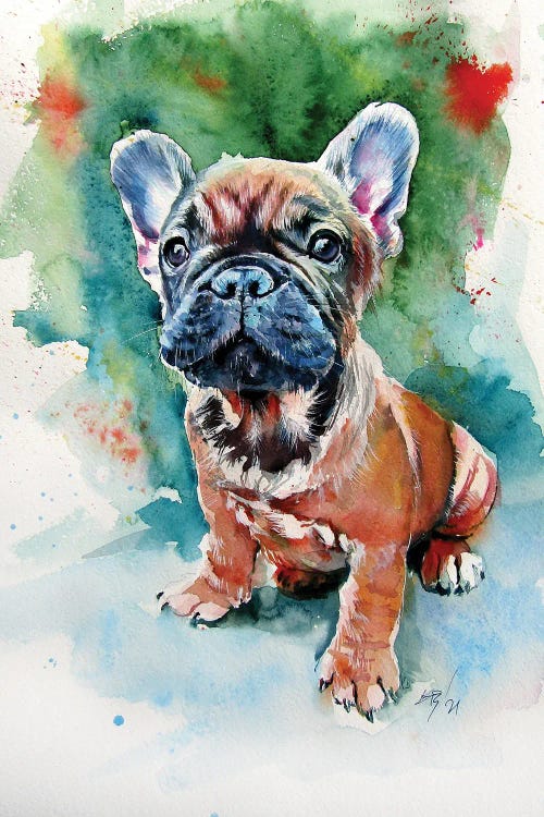 French Bulldog Puppy