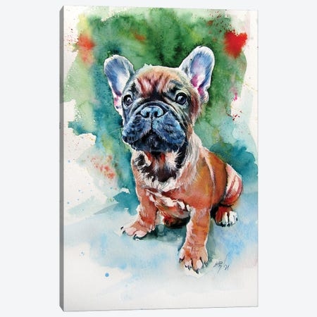 French Bulldog Puppy Canvas Print #AKV458} by Anna Brigitta Kovacs Art Print