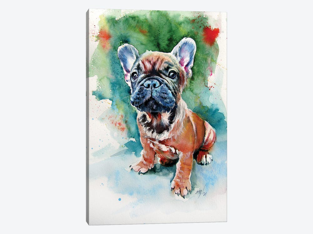 French Bulldog Puppy by Anna Brigitta Kovacs 1-piece Canvas Art