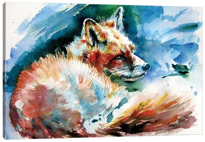 Red Fox Resting Canvas Art Print - Anna Brigitta Kovacs