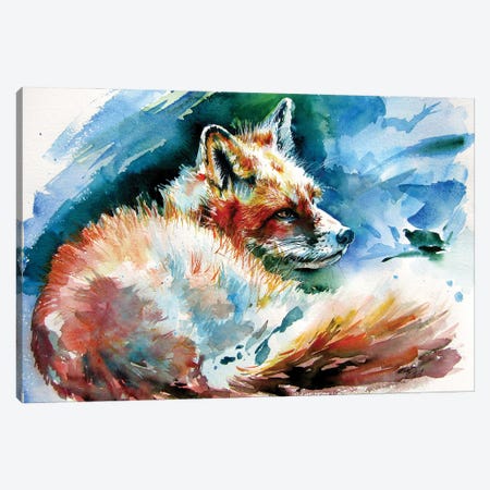 Red Fox Resting Canvas Print #AKV460} by Anna Brigitta Kovacs Canvas Art