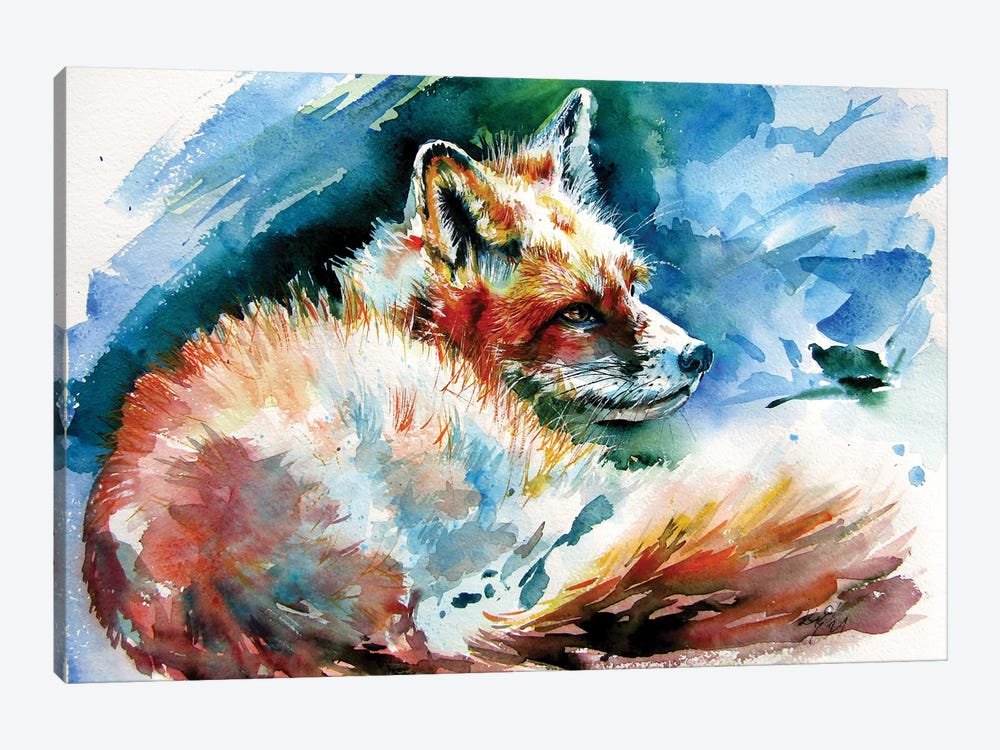 Red Fox Resting by Anna Brigitta Kovacs 1-piece Canvas Art Print