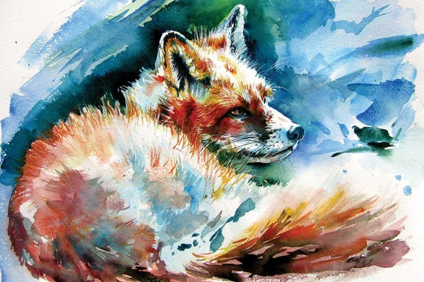 Anna Brigitta Kovacs: Red Fox Resting by Anna Brigitta Kovacs