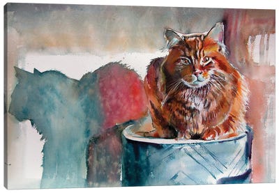 Cat Resting At Light Canvas Art Print - Anna Brigitta Kovacs