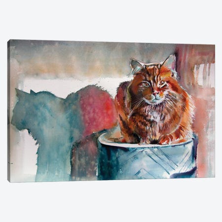 Cat Resting At Light Canvas Print #AKV461} by Anna Brigitta Kovacs Canvas Art