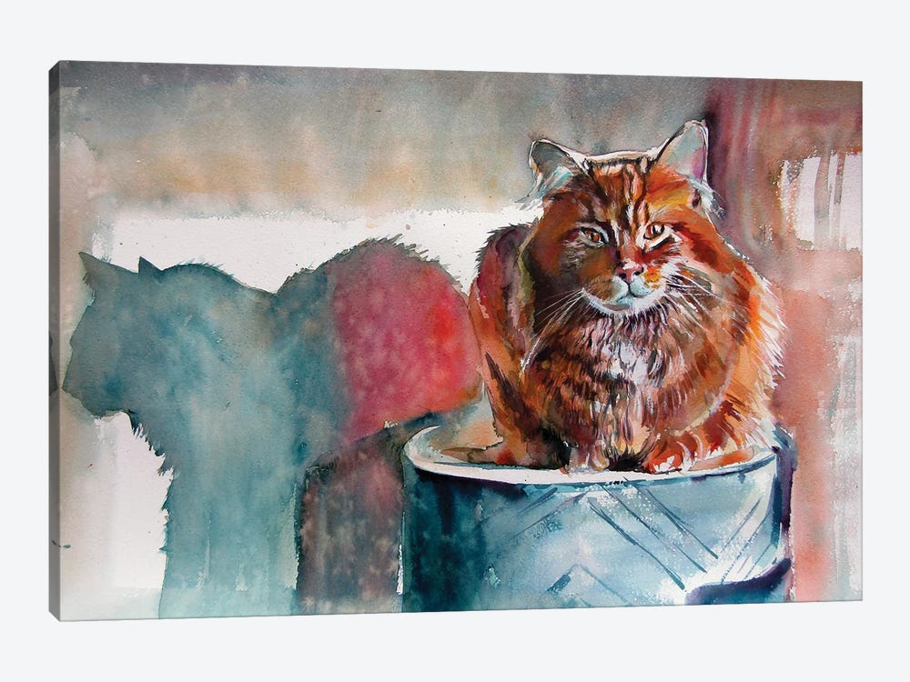 Cat Resting At Light by Anna Brigitta Kovacs 1-piece Canvas Wall Art
