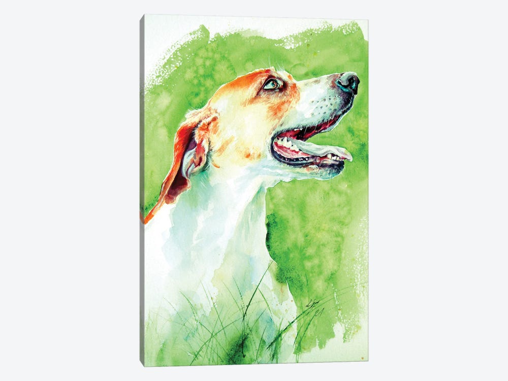 Dog Smile by Anna Brigitta Kovacs 1-piece Canvas Art Print