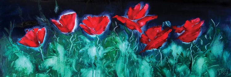 Red Poppies At Night