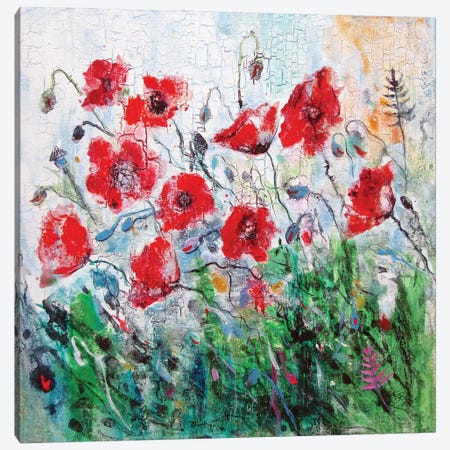 Poppies Field Canvas Print #AKV477} by Anna Brigitta Kovacs Canvas Art