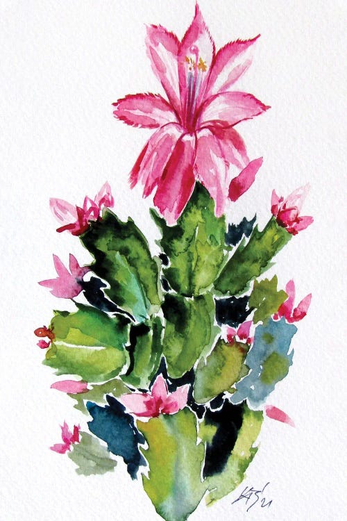 Christmas Cactus