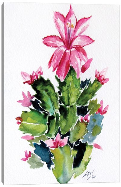 Christmas Cactus Canvas Art Print - Anna Brigitta Kovacs