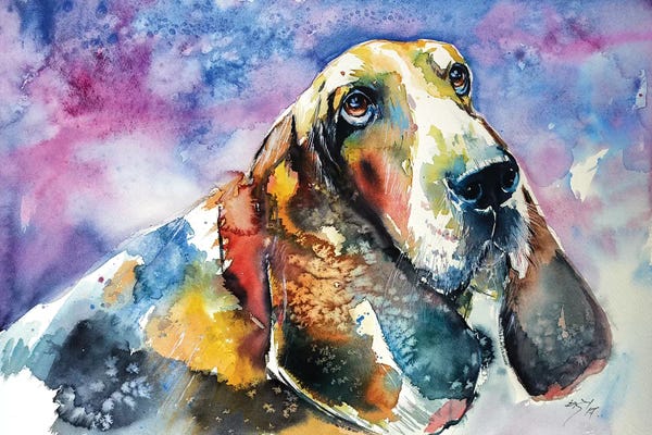 Anna Brigitta Kovacs: Basset Hound by Anna Brigitta Kovacs