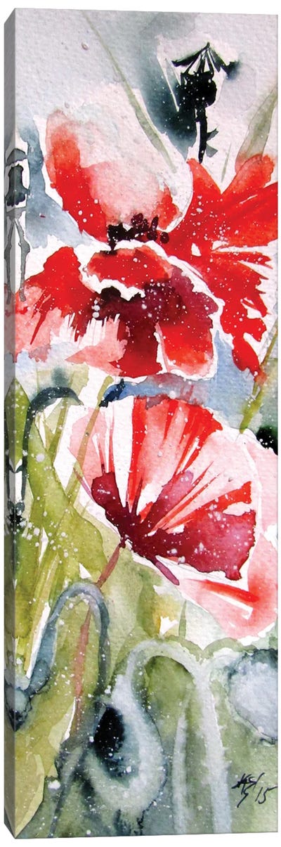 Sweet Poppies III Canvas Art Print - Anna Brigitta Kovacs