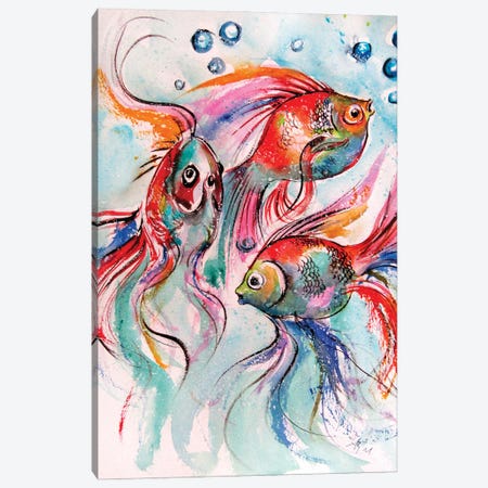 Colorful Fish II Canvas Print #AKV502} by Anna Brigitta Kovacs Art Print