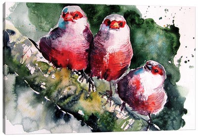 Birds Canvas Art Print - Anna Brigitta Kovacs