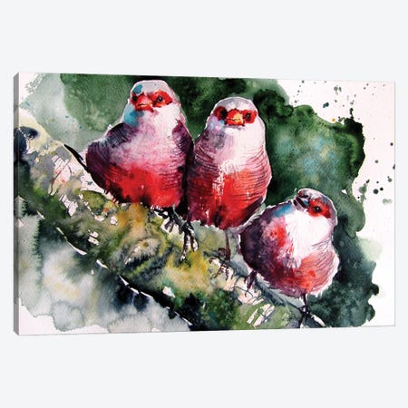 Birds Canvas Print #AKV510} by Anna Brigitta Kovacs Canvas Art