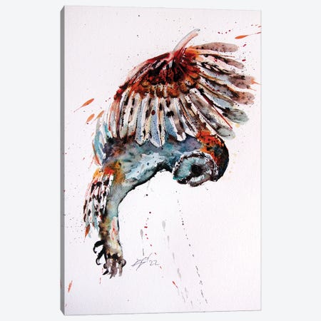 Flying Barn Owl Canvas Print #AKV511} by Anna Brigitta Kovacs Canvas Art
