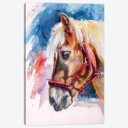 Horse II Canvas Print #AKV515} by Anna Brigitta Kovacs Canvas Art Print