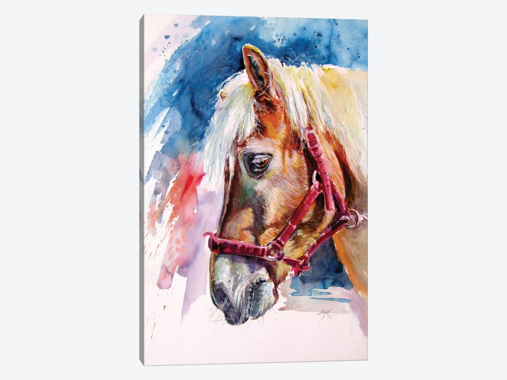 Horse II by Anna Brigitta Kovacs 1-piece Canvas Art