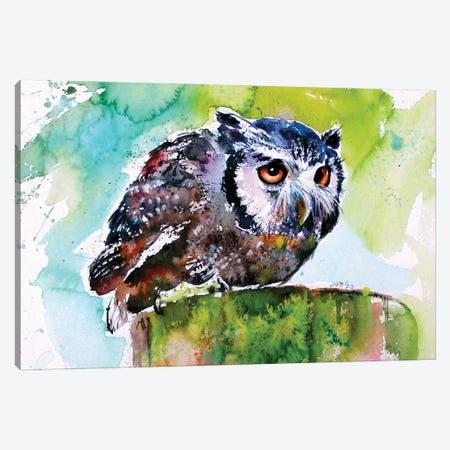 Resting Owl Canvas Print #AKV516} by Anna Brigitta Kovacs Canvas Print